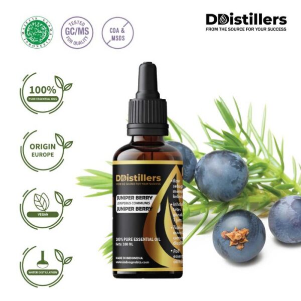 Juniper Berry / Juniper Berry Essential Oil Pure 100%, 50-100ML GS