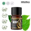Betel (Forest) / Sirih Hutan Essential Oil Pure 100%, 2-10ML GS