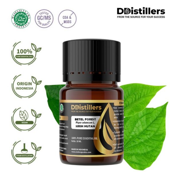 Betel (Forest) / Sirih Hutan Essential Oil Pure 100%, 2-10ML GS