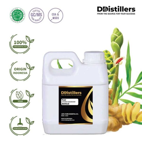 6831b11822dd4262b9cc13536a2374e9.jpg Plai / Bangle Essential Oil Pure 100%, 500ML-1L HDPE/SS