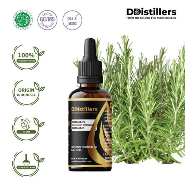 Rosemary / Rosemari Essential Oil Pure 100%, 50-100ML GS