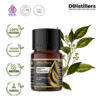 Camphor Leaf / Daun Kamper Essential Oil Pure 100%, 2-10ML GS