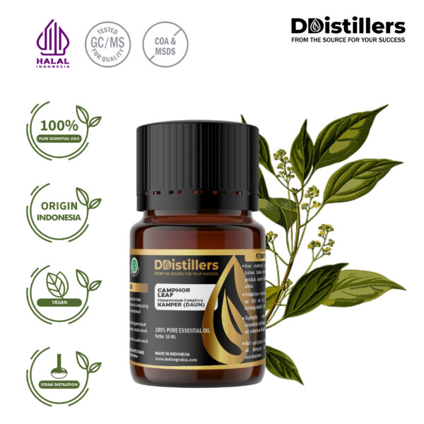 Camphor Leaf / Daun Kamper Essential Oil Pure 100%, 2-10ML GS