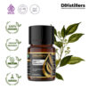 Camphor Leaf / Daun Kamper Essential Oil Pure 100%, 2-10ML GS