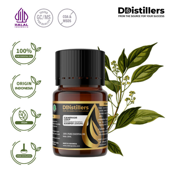 Camphor Leaf / Daun Kamper Essential Oil Pure 100%, 2-10ML GS
