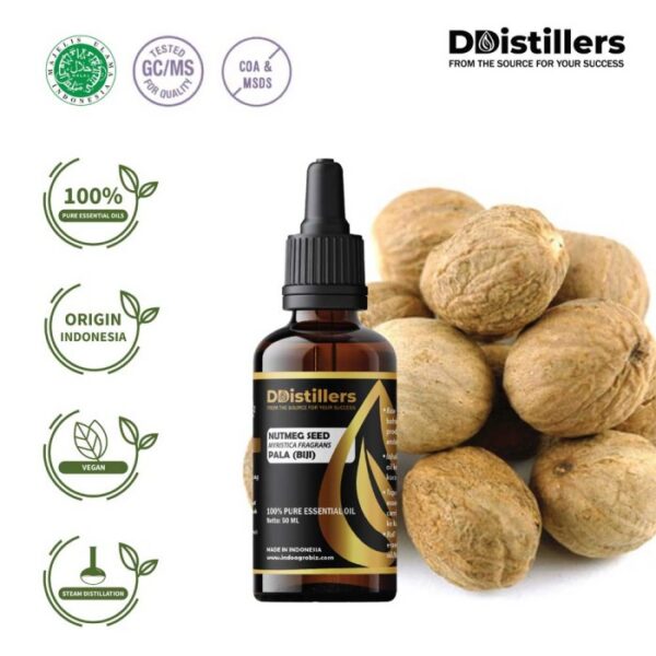 Nutmeg Seed / Biji Pala Essential Oil Pure 100%, 50-100ML GS
