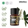 Cajuput (Maluku) / Kayu Putih Ambon Essential Oil Pure 100%, 2-10ML GS