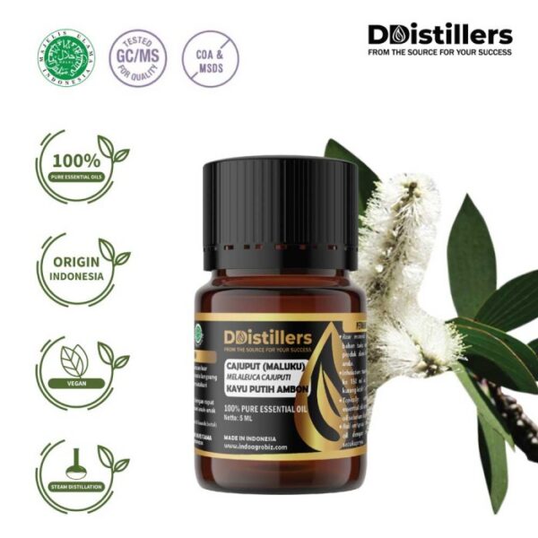 Cajuput (Maluku) / Kayu Putih Ambon Essential Oil Pure 100%, 2-10ML GS