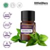 Patchouli MD Natural Isolate Oil Pure 100%, 5ML GS