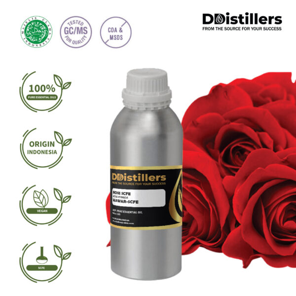 Rose / Mawar SCFE Essential Oil Pure 100%, 1KG SS