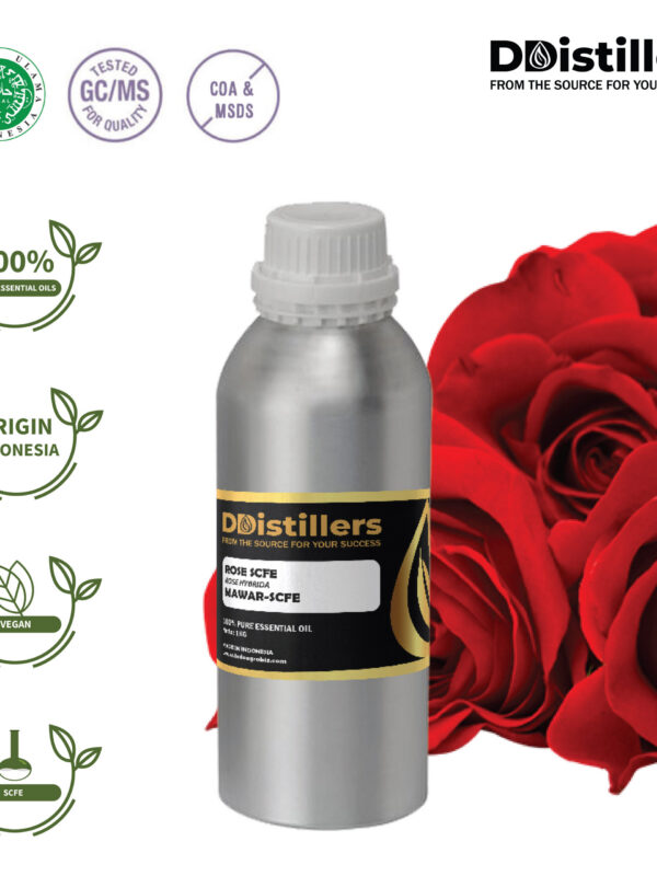 Rose / Mawar SCFE Essential Oil Pure 100%, 1KG SS