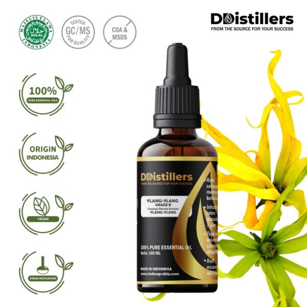 Ylang-Ylang / Kenanga Grade B Essential Oil Pure 100%, 50-100ML GS