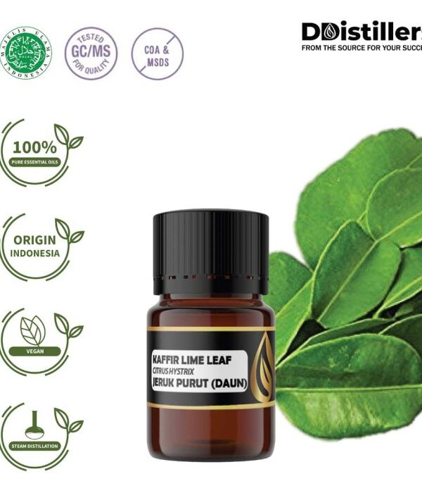 Kaffir Lime Leaf / Daun Jeruk Purut Essential Oil Pure 100%, 2-10ML GS