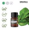 Kaffir Lime Leaf / Daun Jeruk Purut Essential Oil Pure 100%, 2-10ML GS