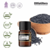 Cumin (Black) Seed / Jinten Hitam / Habbatussauda Essential Oil Pure 100%, 2-10ML GS