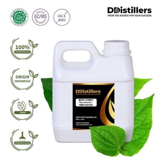 6da5076964214ee8bb34e5a474f7c9c9.jpg Betel (Forest) / Sirih Hutan Essential Oil Pure 100%, 500ML-1L HDPE/SS