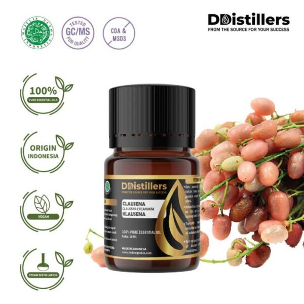 Clausena / Klausena Essential Oil Pure 100%, 2-10ML GS