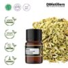 6fd882b932fe45c5ac7e279e22594b86.jpg Fennel / Adas Pedas Essential Oil Pure 100%, 2-10ML GS