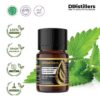 Patchouli (Sulawesi) / Nilam (Sulawesi) Essential Oil Pure 100%, 2-10ML GS