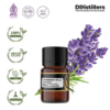 Lavender Wild / True Lavender Essential Oil Pure 100%, 2-10ML GS