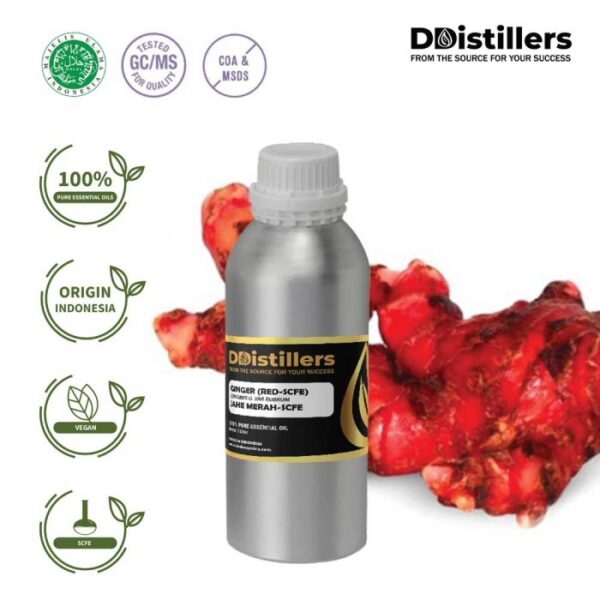 Ginger (Red SCFE) / Jahe Merah Essential Oil Pure 100%, 500ML-1L HDPE/SS