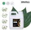 Pepper (White) Leaf / Daun Lada Putih Essential Oil Pure 100%, 500ML-1L HDPE/SS