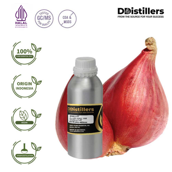 Shallot-EO / Bawang Merah Essential Oil Pure 100%, 500ML-1L HDPE/SS