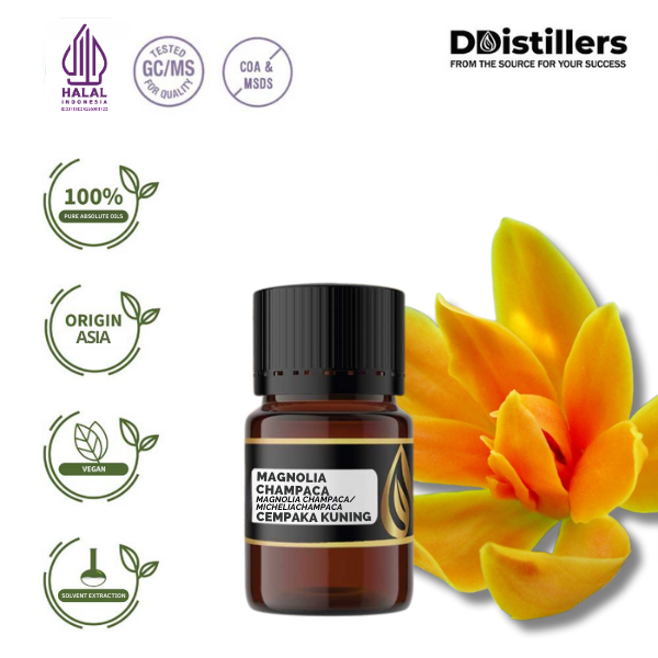 Magnolia / Cempaka Kuning Absolute Oil Pure 100%, 2-10ML GS