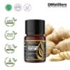 Ginger (Small) / Jahe Emprit Essential Oil Pure 100%, 2-10ML GS