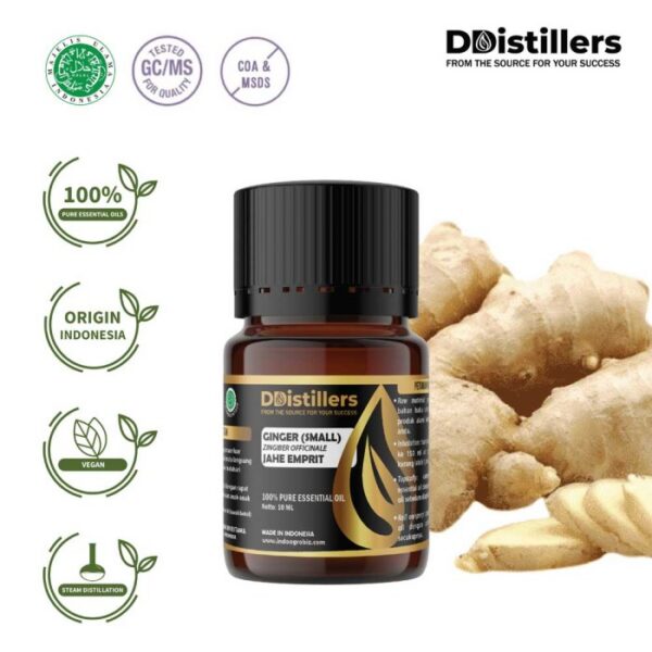 Ginger (Small) / Jahe Emprit Essential Oil Pure 100%, 2-10ML GS