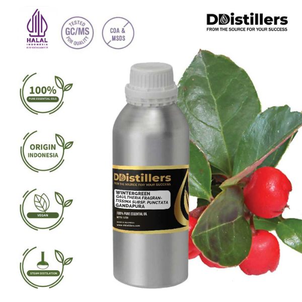 Wintergreen / Gandapura Essential Oil Pure 100%, 500ML-1L HDPE/SS