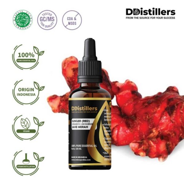 Ginger (Red) / Jahe Merah Essential Oil Pure 100%, 50-100ML GS