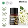 Neroli / Bunga Jeruk Essential Oil Pure 100%, 2-10ML GS