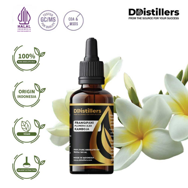 Frangipani / Kamboja Absolute Oil Pure 100%, 50-100ML GS