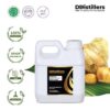 Curcuma / Temulawak Essential Oil Pure 100%, 500ML-1L HDPE/SS
