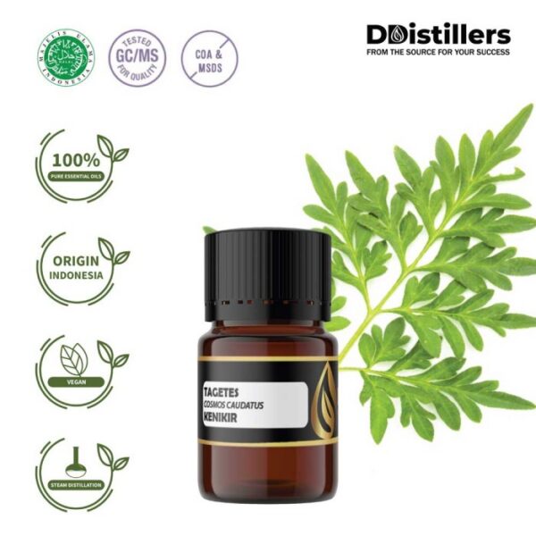 Tagetes Marigold / Kenikir Hias / Bunga Marigold Essential Oil Pure 100%, 2-10ML GS