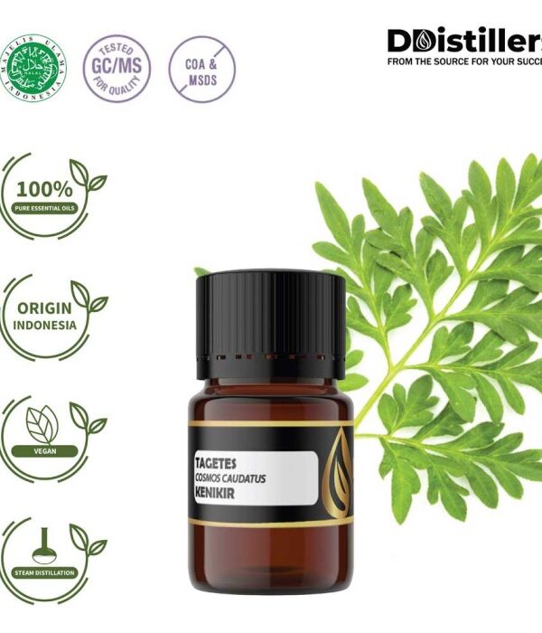Tagetes Marigold / Kenikir Hias / Bunga Marigold Essential Oil Pure 100%, 2-10ML GS