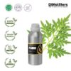 Tagetes Marigold / Kenikir Hias / Bunga Marigold Essential Oil Pure 100%, 500ML-1L HDPE/SS