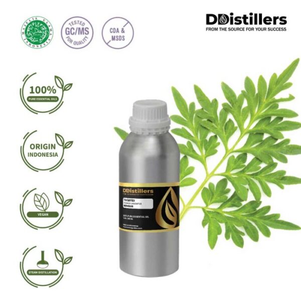 Tagetes Marigold / Kenikir Hias / Bunga Marigold Essential Oil Pure 100%, 500ML-1L HDPE/SS