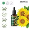 Sunflower / Bunga Matahari Carrier Oil Pure 100%, 50-100ML GS