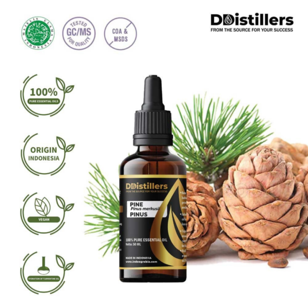 797b03ab40c5493ba7c086ce111e3f03.png Pine / Pinus Essential Oil Pure 100%, 50-100ML GS