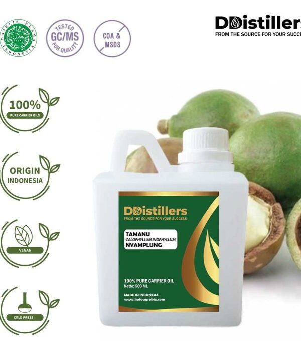 Tamanu / Nyamplung Carrier Oil Pure 100%, 500ML-1L HDPE