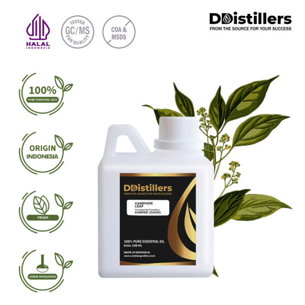 Camphor Leaf / Daun Kamper Essential Oil Pure 100%, 500ML-1L HDPE/SS