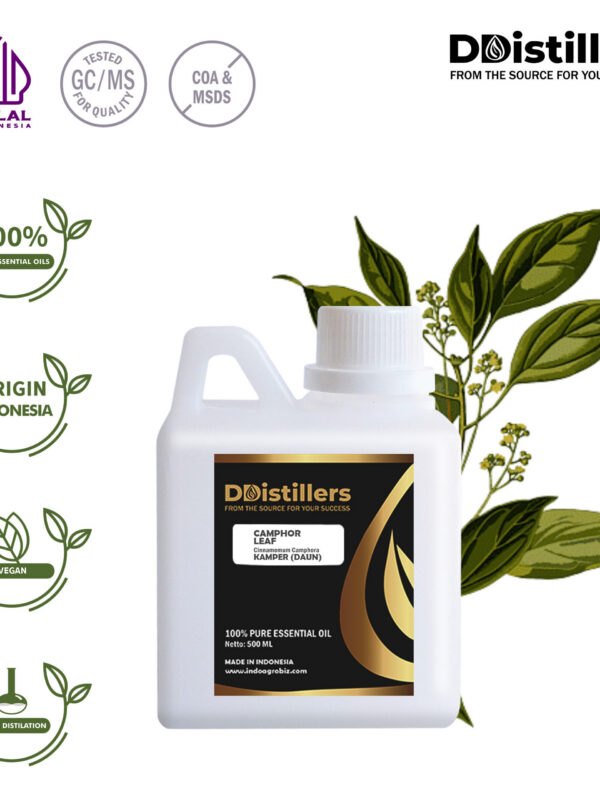 Camphor Leaf / Daun Kamper Essential Oil Pure 100%, 500ML-1L HDPE/SS