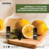 Minyak Atsiri Jeruk Lemon / Lemon Essential Oil 100 % Pure Volume 5 ml