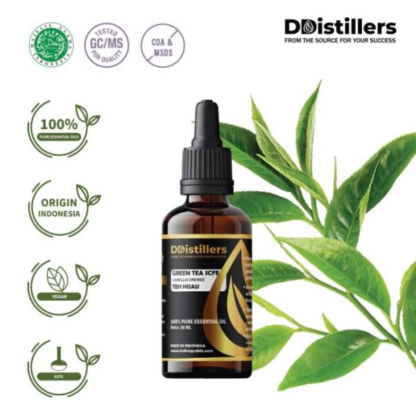 7f76275f6055411ab776a7b3b4bd854c.jpg Green Tea SCFE / Teh Hijau Essential Oil Pure 100%, 50-100ML GS
