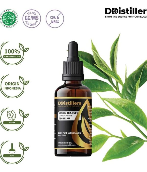 Green Tea SCFE / Teh Hijau Essential Oil Pure 100%, 50-100ML GS