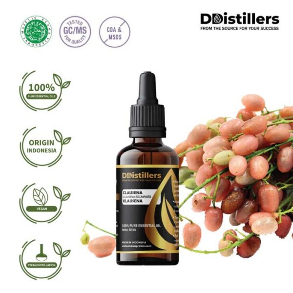 Clausena / Klausena Essential Oil Pure 100%, 50-100ML GS