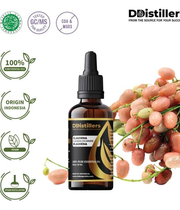 Clausena / Klausena Essential Oil Pure 100%, 50-100ML GS
