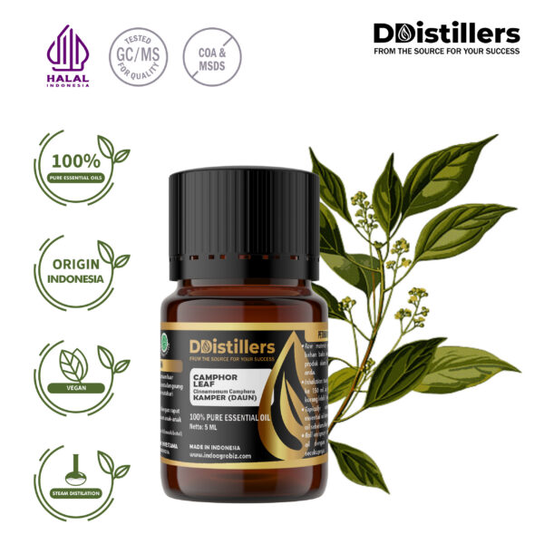 Camphor Leaf / Daun Kamper Essential Oil Pure 100%, 2-10ML GS